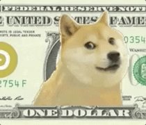 One Dollar Meme GIF