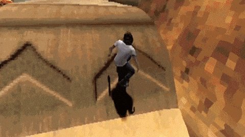  happy birthday tony hawk 