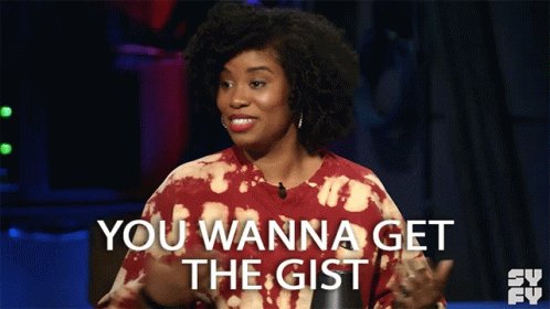 You Wanna Get The Gist Akilah Hughes GIF