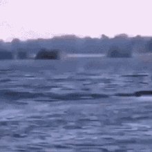 Gorilla Cold GIF