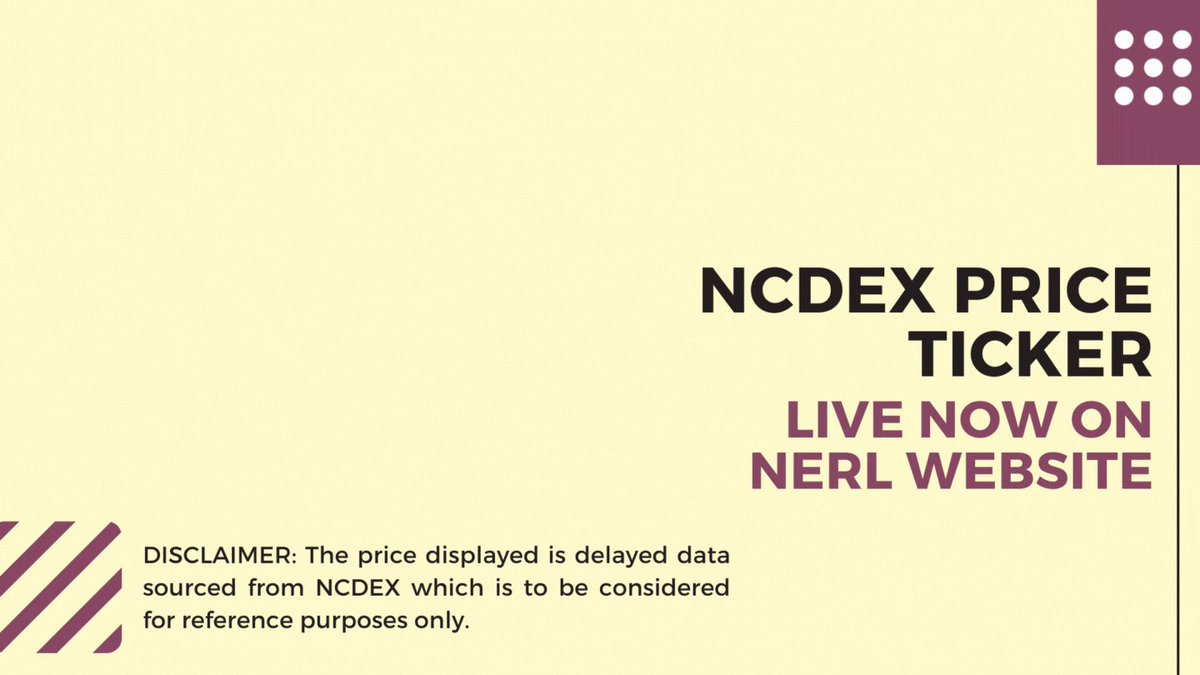 nerl_repository photo