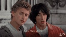 Dust Bill And Ted GIF