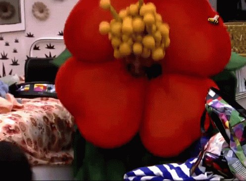 Jardim Nascer GIF