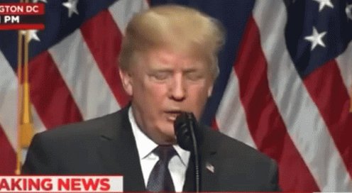 Donald Trump Two2Hand GIF