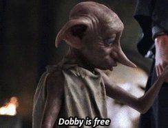 dobby GIF