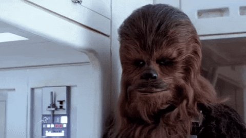 Happy birthday Peter Mayhew and rest in peace
1944-2019 (Played Chewbacca in the Star Wars movies) 