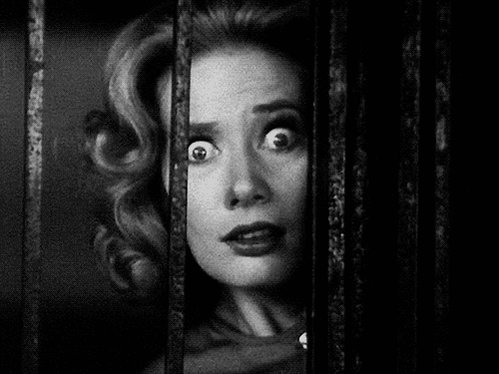 Scared Classic Film GIF by Shudder