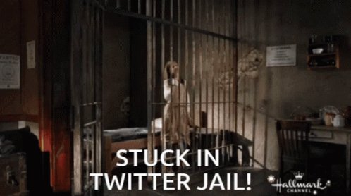 Wcth Hearties Allie Grant Stuck In Twitter Jail GIF