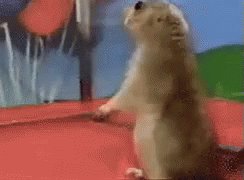 Dramatic Chipmunk GIF