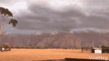 Sand Sandstorm GIF