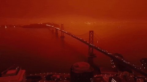San Francisco Fires GIF by ...