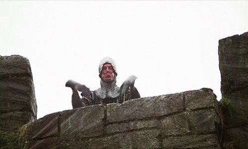 Monty Python Taunting GIF