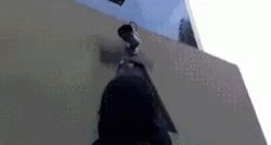 Anarchist Graffiti GIF