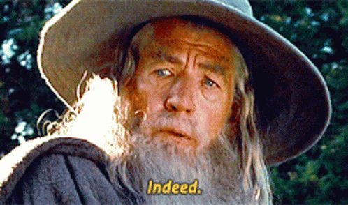 Lord Of The Rings Gandalf GIF