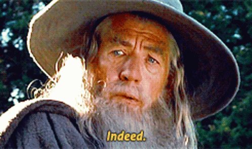 Lord Of The Rings Gandalf GIF