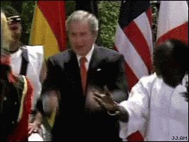 Bush GIF