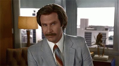 Ron Burgundy saying "That doesn't make any sense"