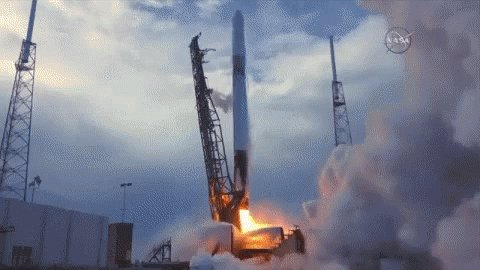 Space XDragon Cargo Launch GIF