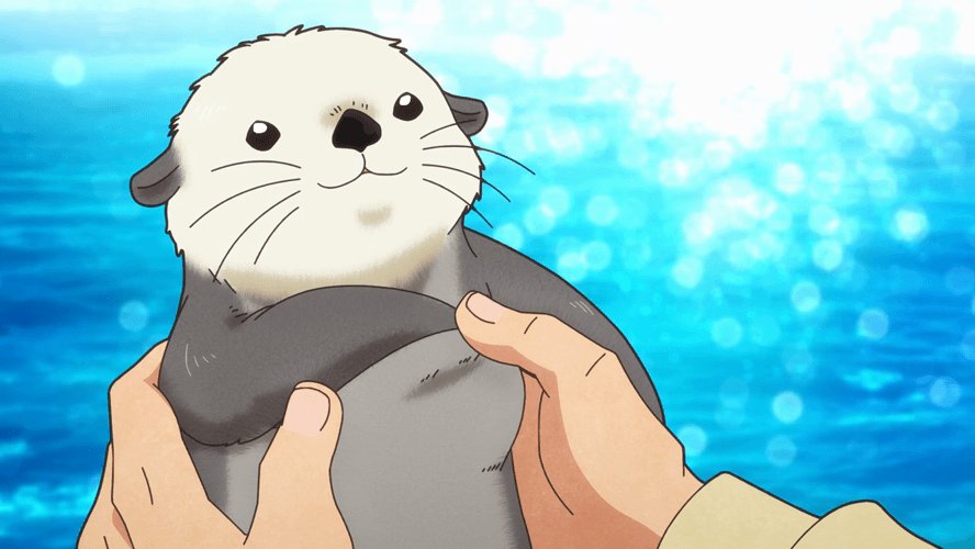 Right Stuf Anime on Twitter "It's World Otter Day! 🦦 Isn't this guy