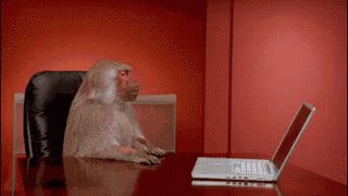 Monkey Pissed GIF