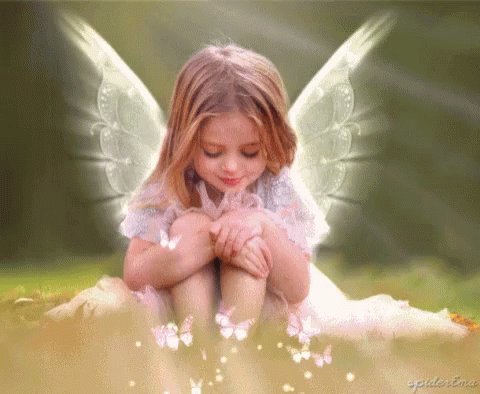 Angel Butterfly GIF