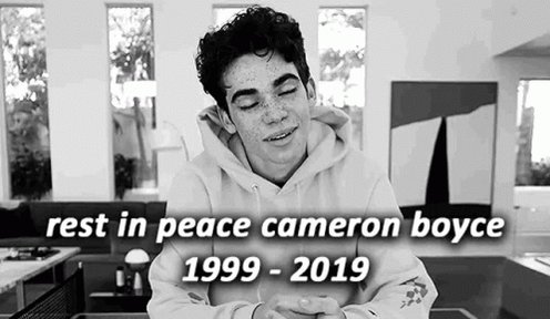 Happy Birthday Cameron Boyce    Left too soon and never forgotten 