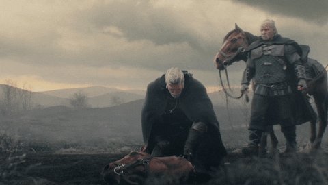 witcher 3 GIF