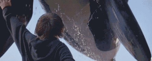 Free Willy 90S GIF