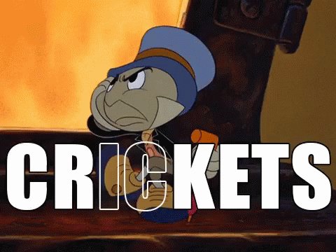 Crickets Jimmy Cricket GIF
