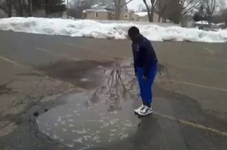 Fail Whooo GIF