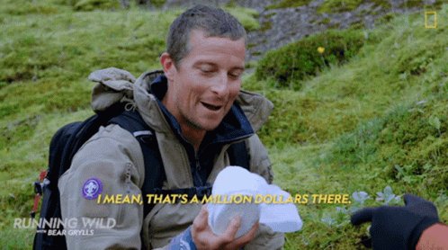 Thats AMillion Dollars There Bear Grylls GIF