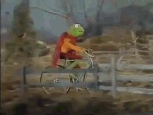 Kermit Fahrrad GIF