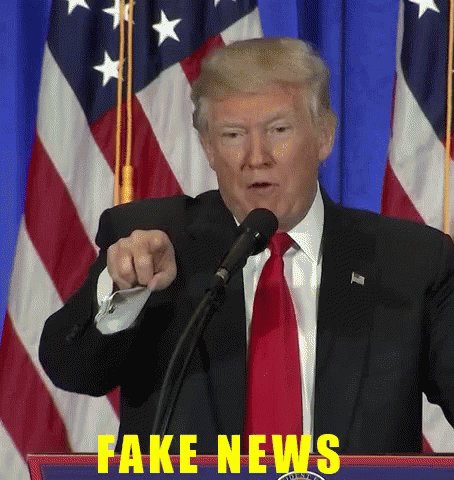 Donald Trump Fake News GIF