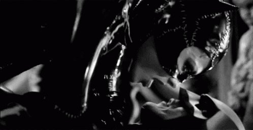 Catwoman GIF