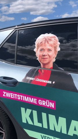 Landtagswahl GIF by Grüne S...