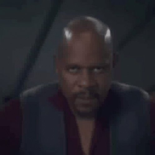 Star Trek Sisko GIF