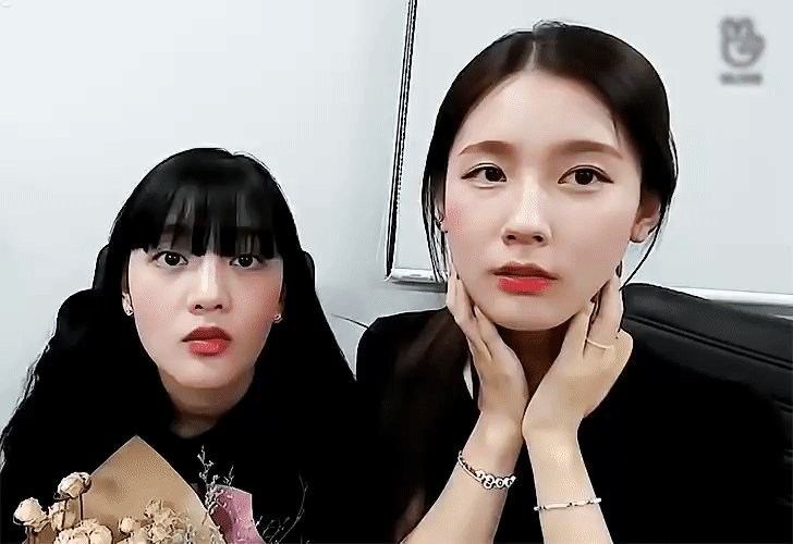 트위터, twitter - 딸플릭스