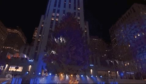 Christmas Tree GIF by NBC