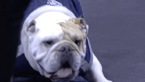 college basketball georgetown jack GIF by BIG EAST Conferenc