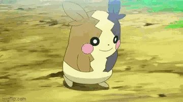 アニメ ポケットモンスター 公式 アニポケ 第70話 おねがい モルペコゲットして ロケット団 のアジトに住み着いた モルペコ 食料を食べつくされることに困り果てたロケット団はモルペコを野生に返すことに アニメ ポケットモンスター
