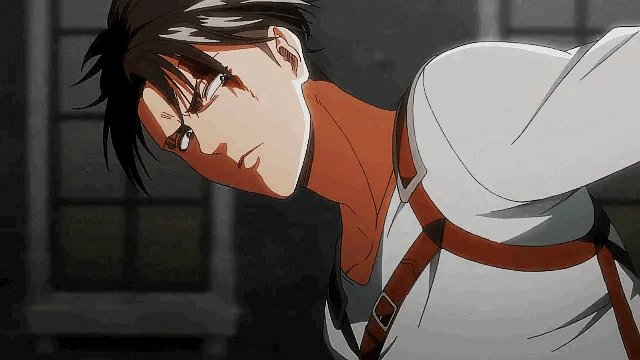 Levi (ocupado). 