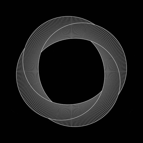 Op Art Torus GIF by Kilavaish