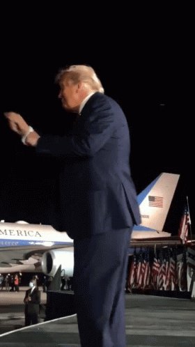 Seduction Trump GIF