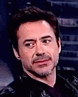 Avengers Robert Downey Jr GIF