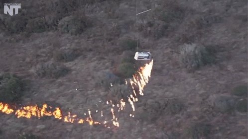 forest fire news GIF by NowThis 