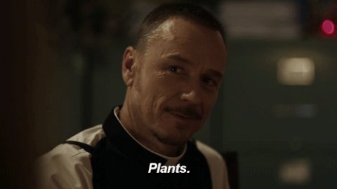 HAPPY BIRTHDAY TO BEN DANIELS STAY SEXY 