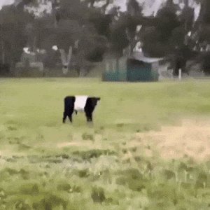 パズルが完成🤣🤣🤣 