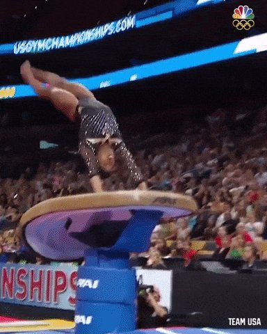 Simone Biles Sport GIF by Team USA