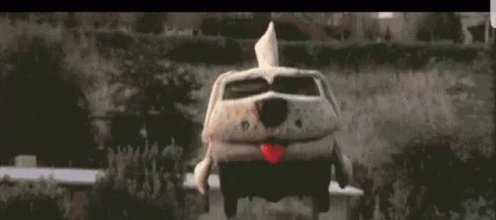 Vibes https://t.co/48tODMxphm