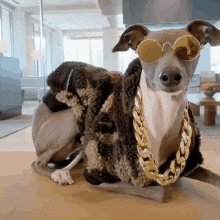 Pet Lover GIF